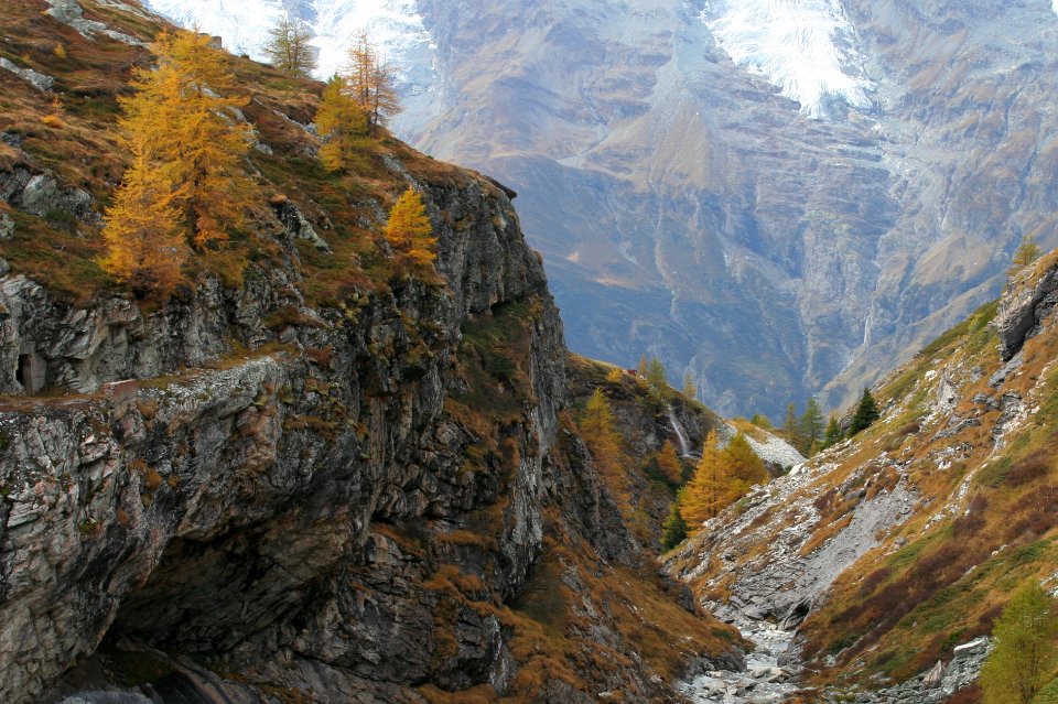 monal automne 174 2