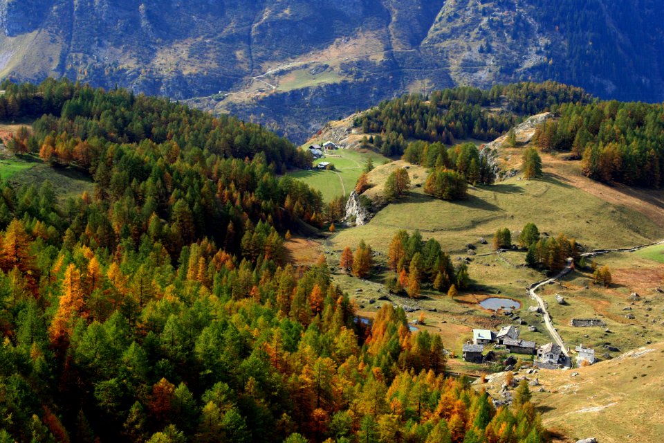 monal automne 210 3