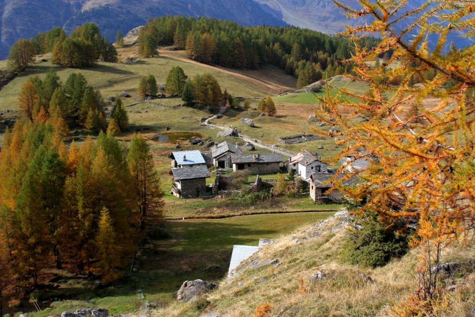 monal automne 216 2