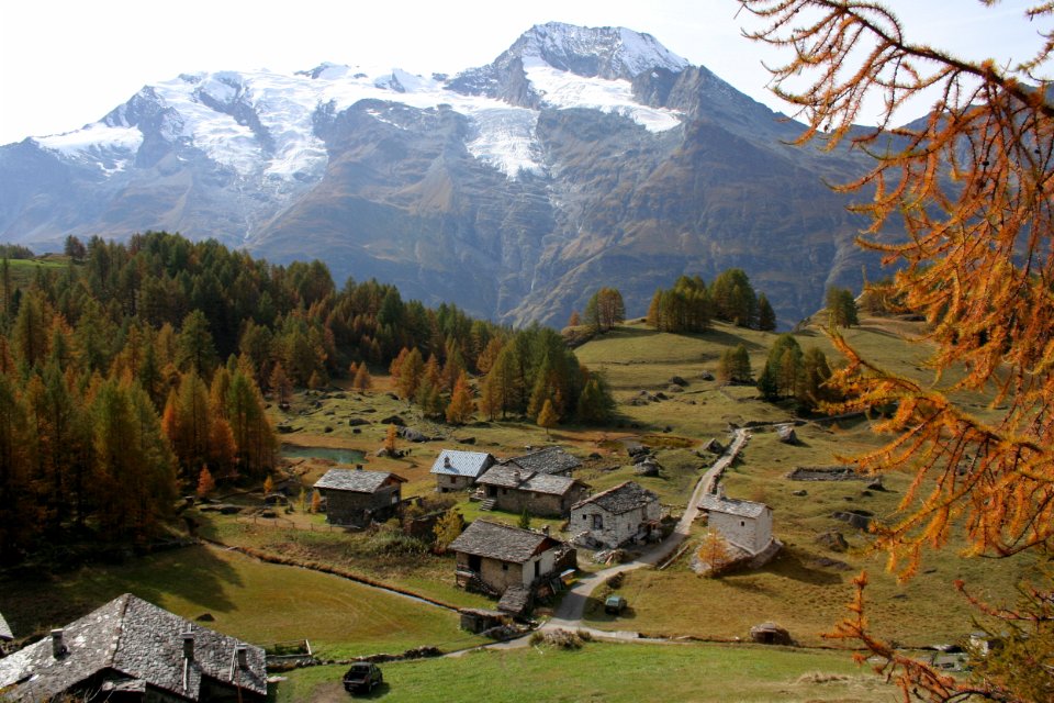 monal automne 224
