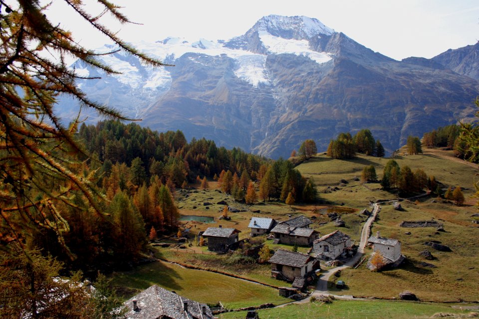monal automne 226 2