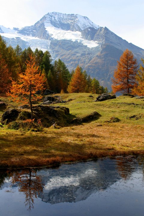 monal automne 259