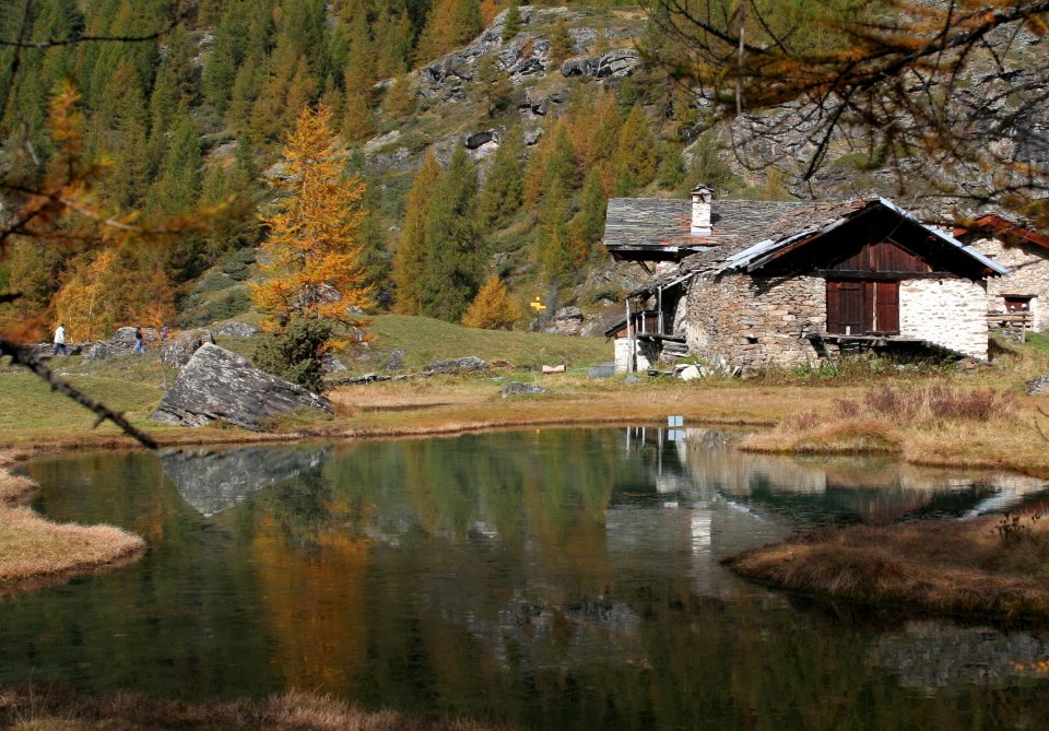 monal automne 266 2