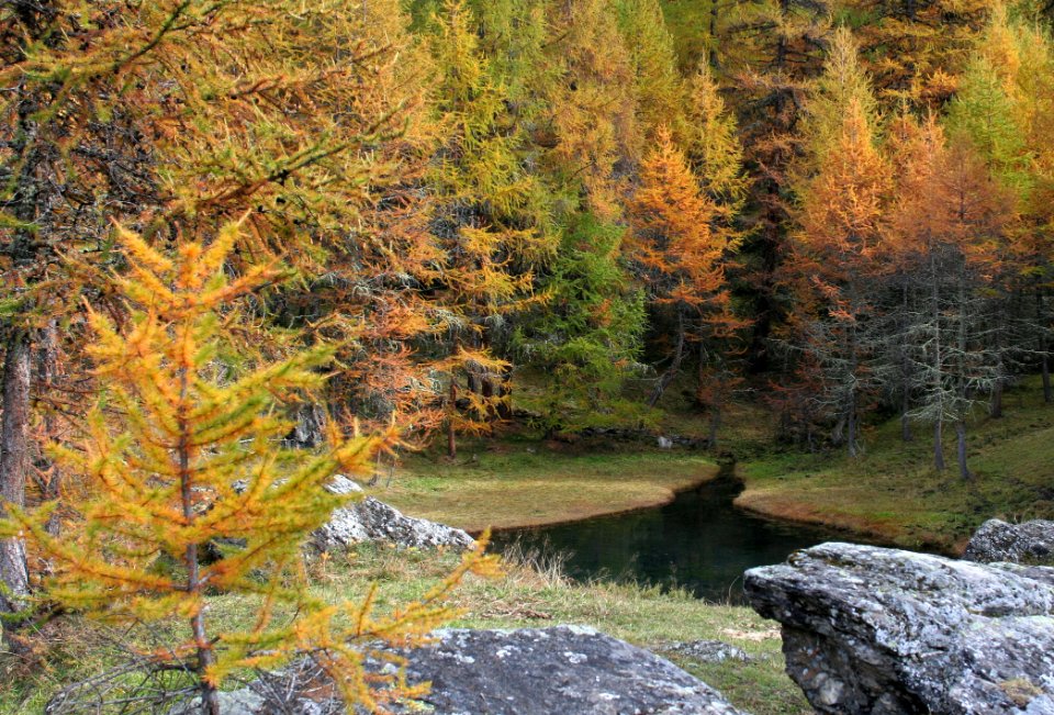 monal automne 271 2