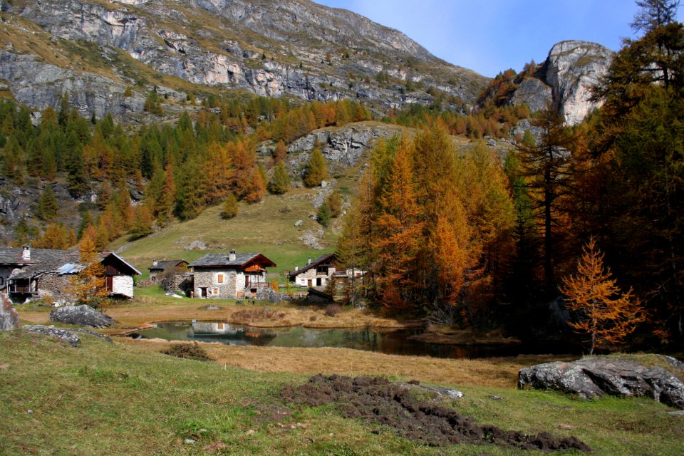 monal automne 275 2