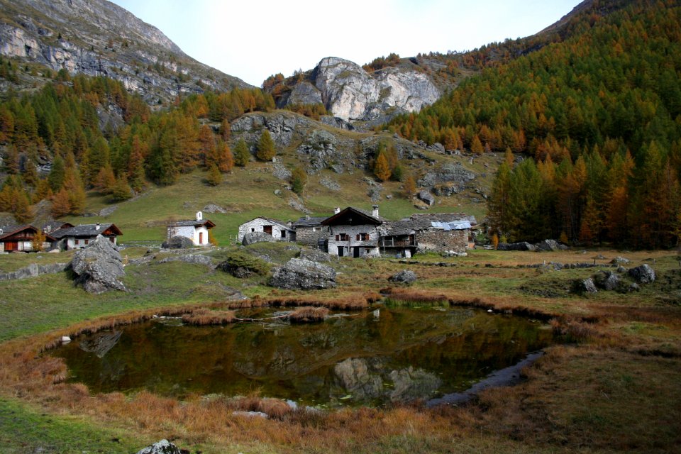 monal automne 312 2