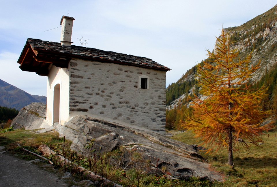 monal automne 320 2