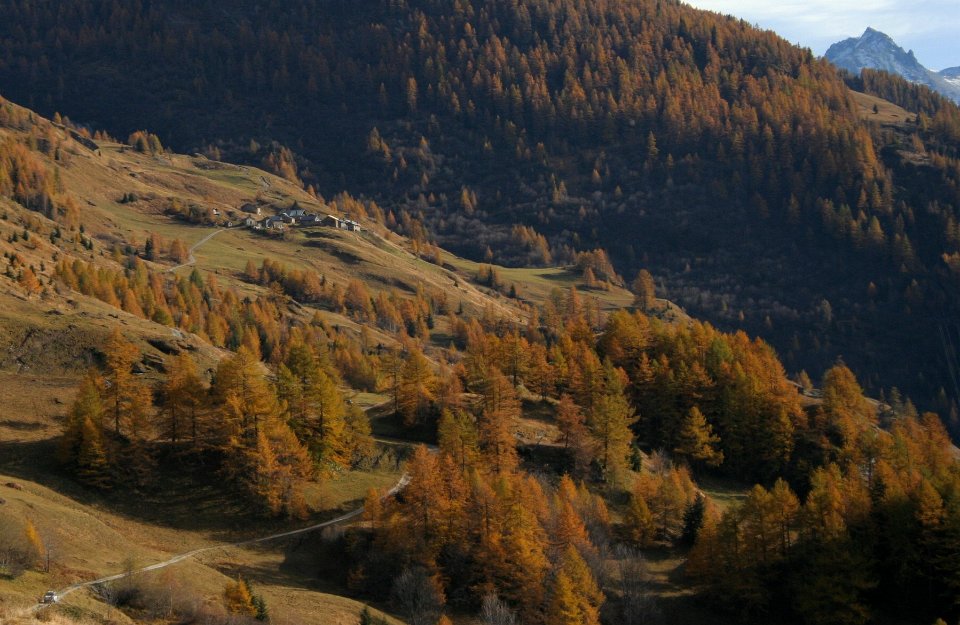 monal octobre 239 2