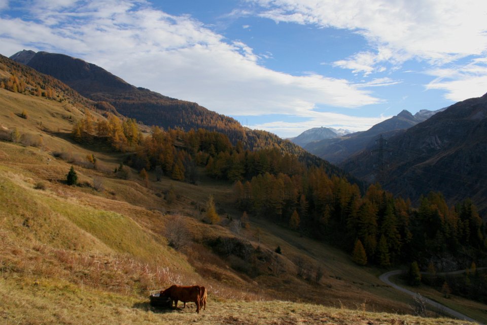 monal octobre 246 2