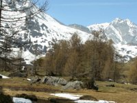 Le Monal (11).jpg