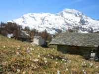 Le Monal (16).jpg