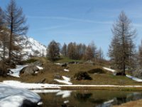 Le Monal (7).jpg