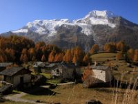 le monal en automne_28.JPG