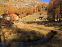 le monal en automne_36.JPG