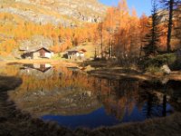 le monal en automne_66.JPG