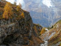 monal automne_174_2.jpg