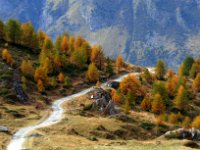 monal automne_183.jpg