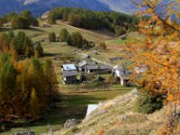 monal automne_216_2.jpg