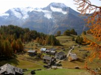 monal automne_224.jpg