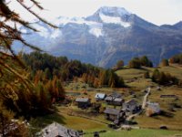 monal automne_226_2.jpg