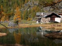 monal automne_266_2.jpg