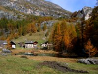 monal automne_275_2.jpg