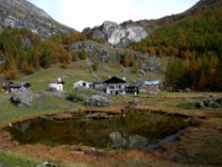monal automne_312_2.jpg
