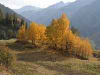 monal automne_346.JPG