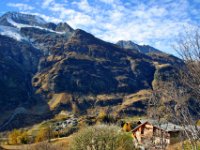 monal octobre_004_2.jpg