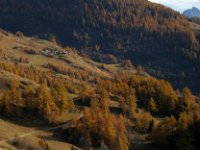 monal octobre_239_2.jpg