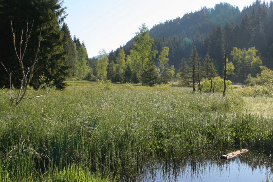 Reserve naturelle Montgilbert 02