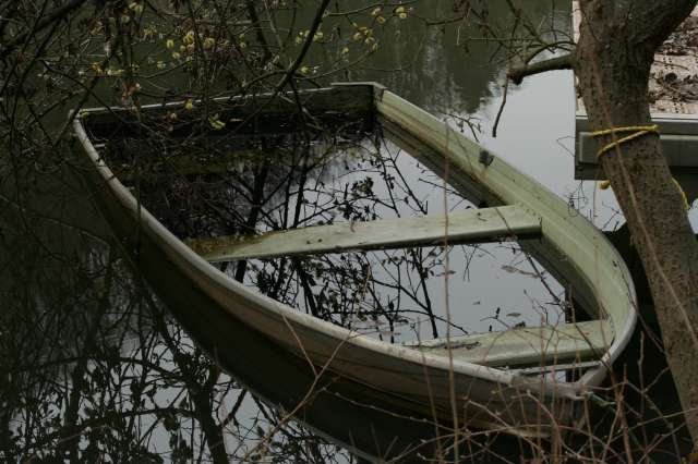 Barque 