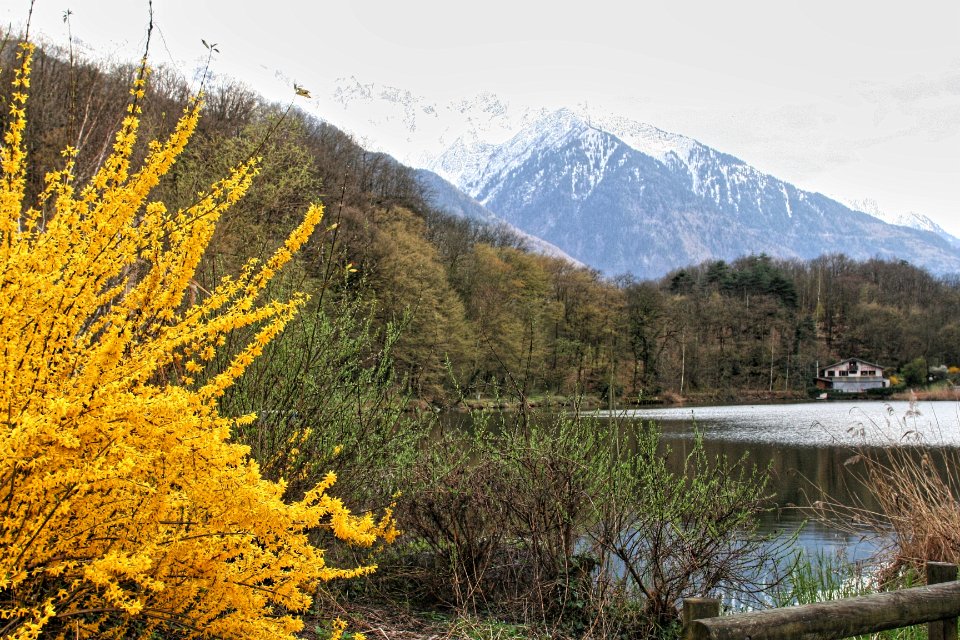 Lac Charbonniere