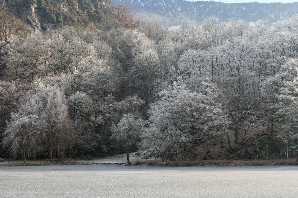 hiver charbonniere 02