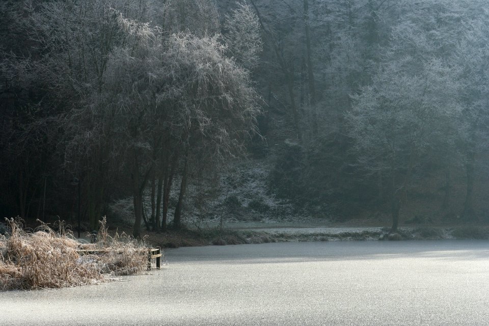 hiver charbonniere 03