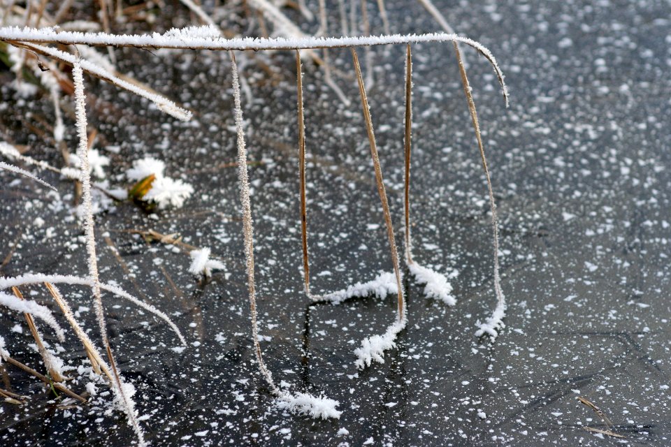 lac hiver 15