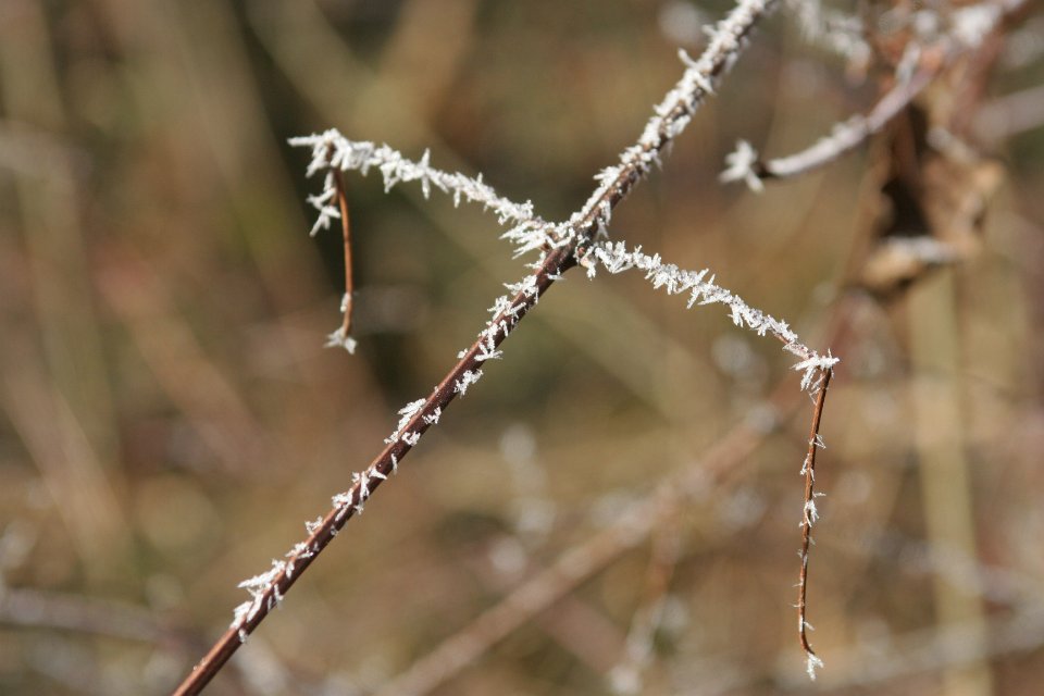 lac hiver 40