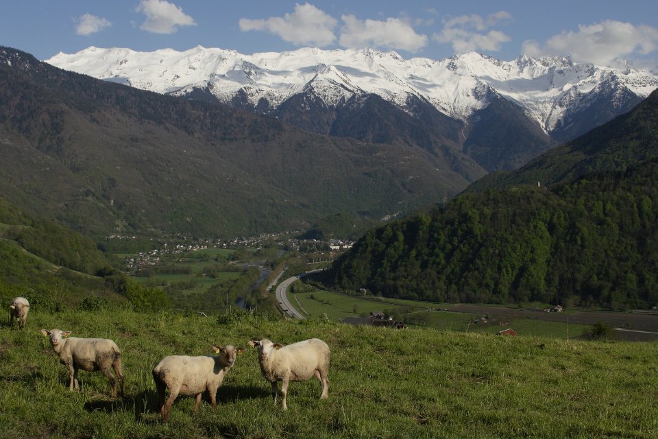 Aiguebelle depuis Aiton