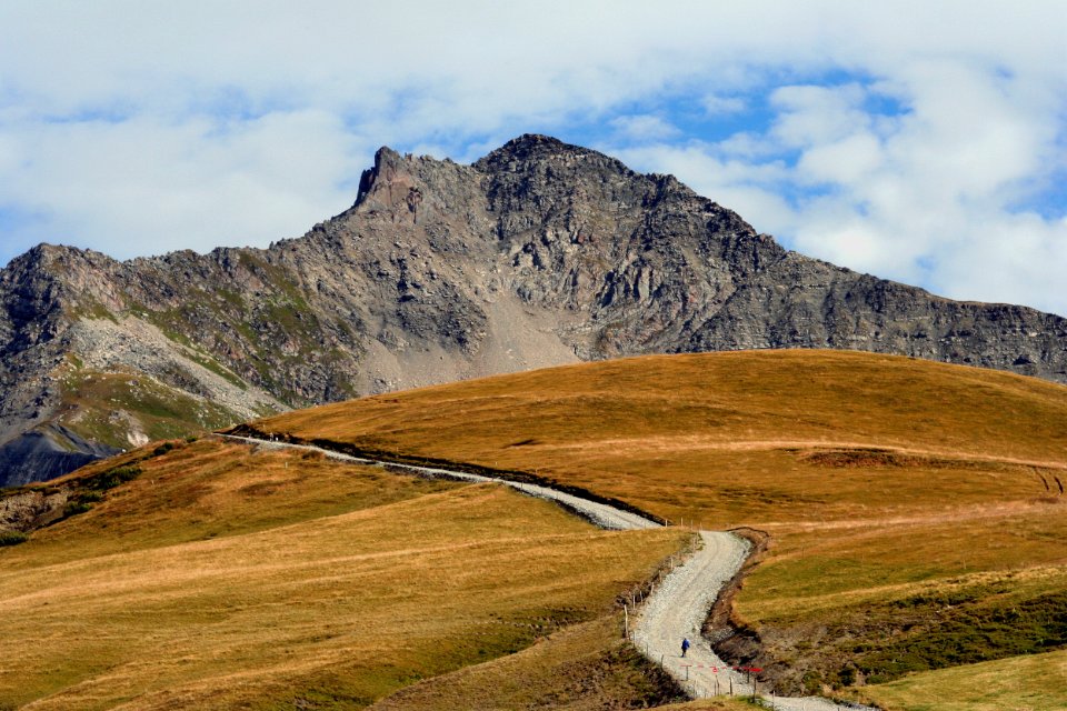 col madeleine (6)