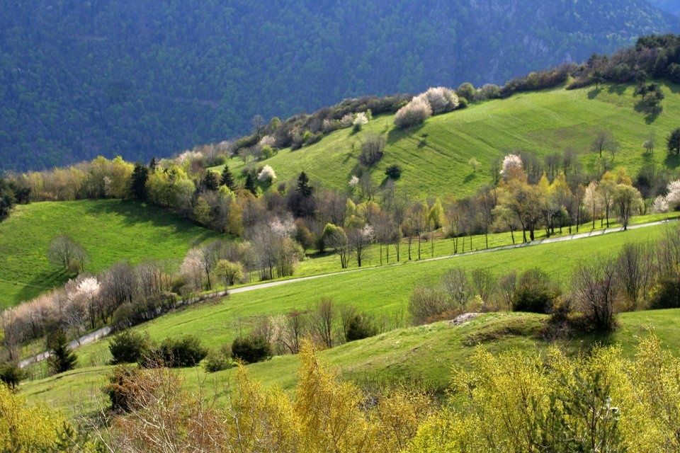 printemps montvernier