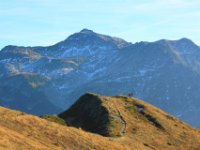 Secteur Arbaretan_1.JPG
