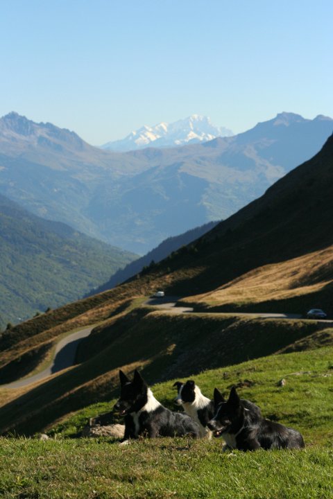 Col du Glandon2