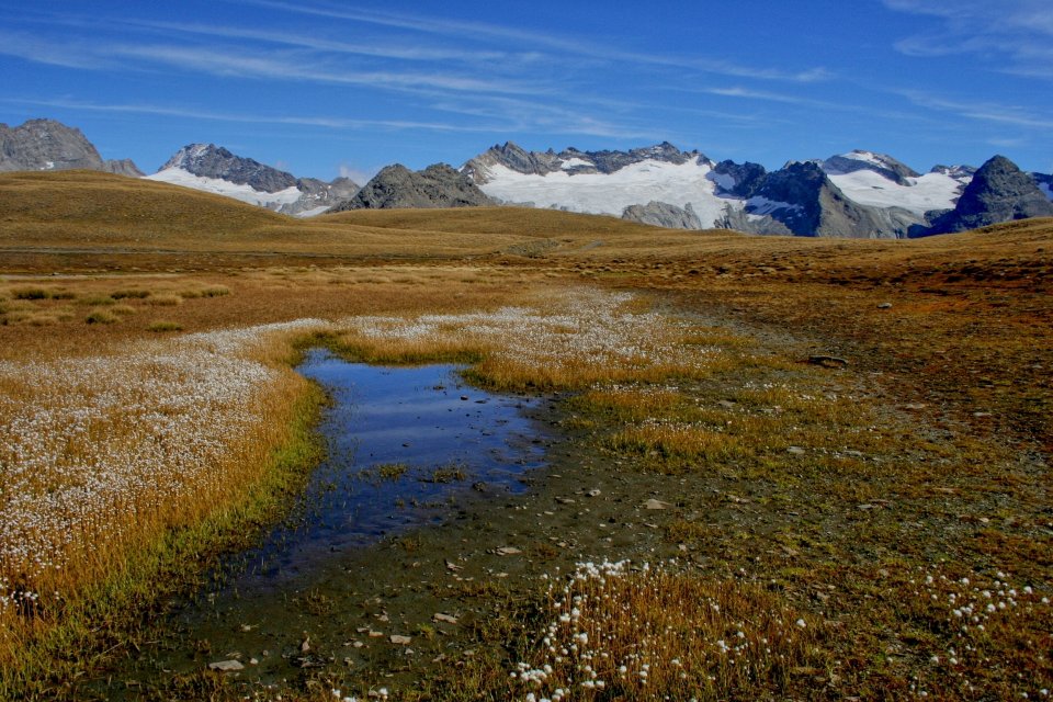 Albaron automne