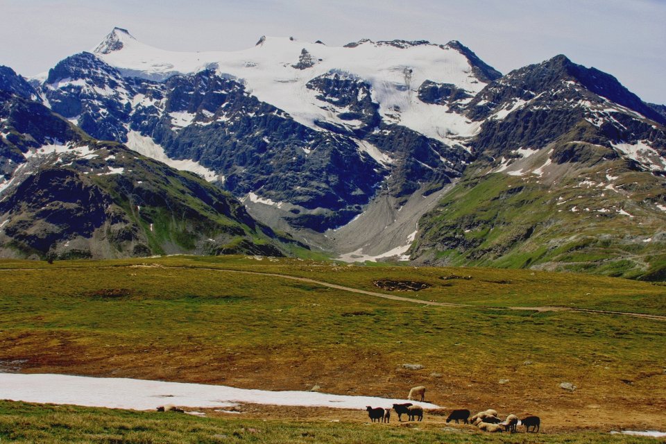 Massif Albaron 054 2