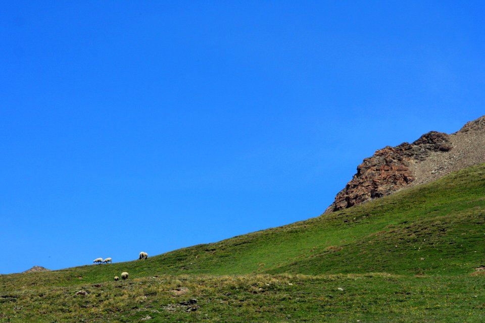 Massif Albaron 227 2