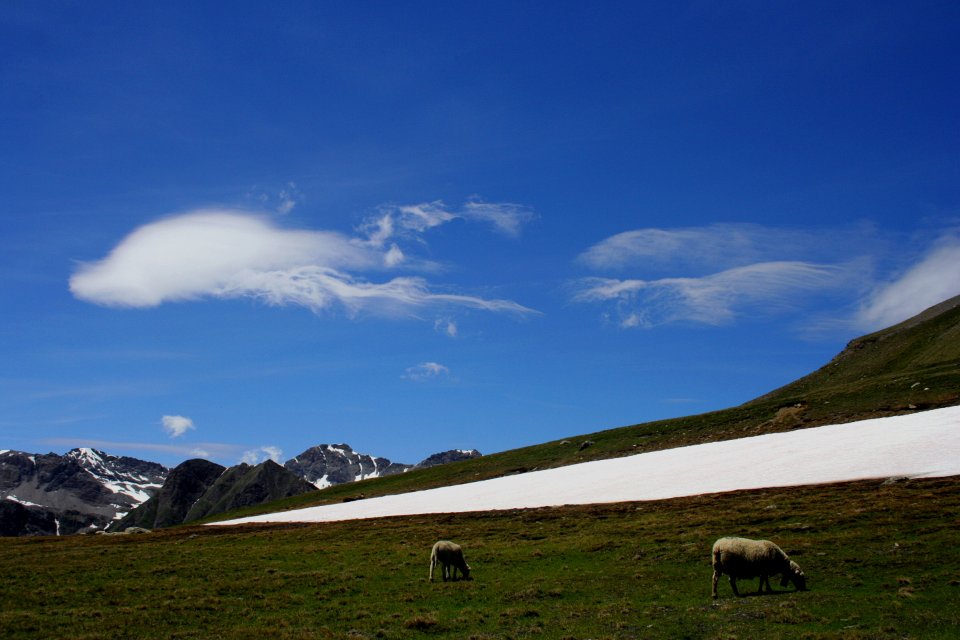 Massif Albaron 281 2