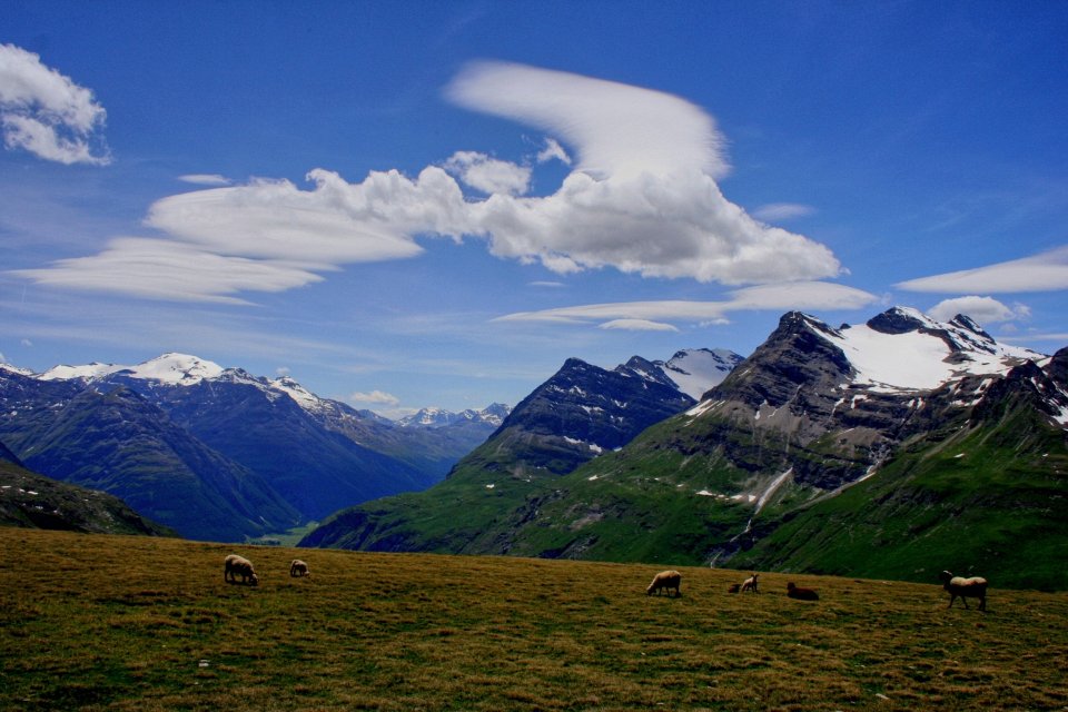 Massif Albaron 288 2
