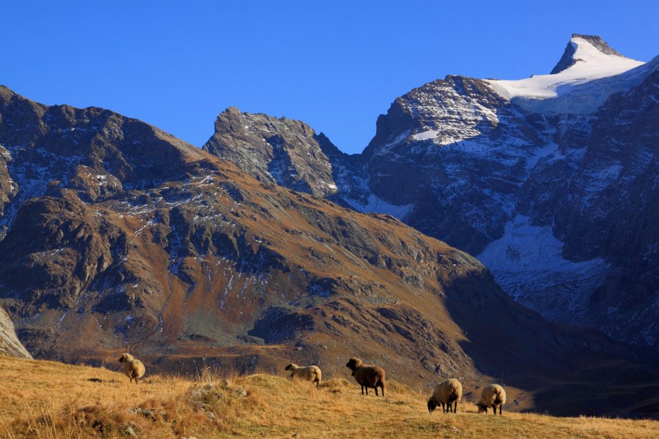 alpages de l iseran 32