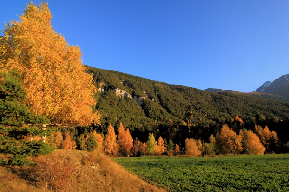 automne en hte maurienne 21