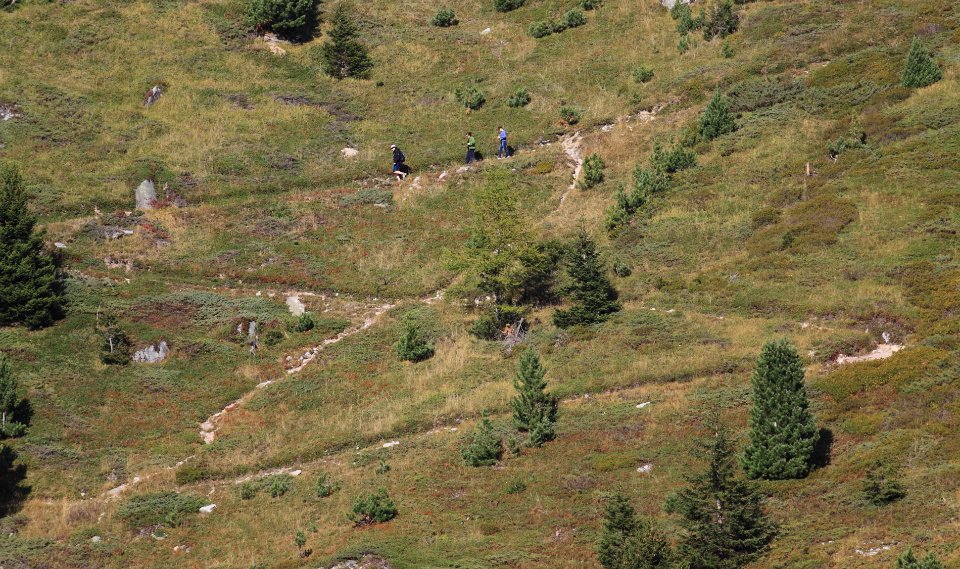 croisee des chemins 1